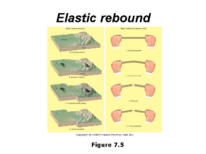 Elastic rebound Figure 7. 5 