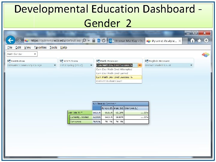 Developmental Education Dashboard Gender 2 