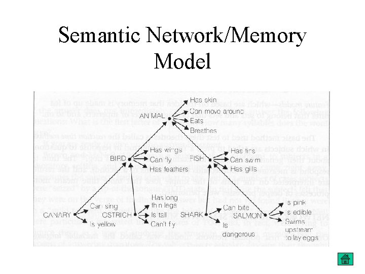 Semantic Network/Memory Model 