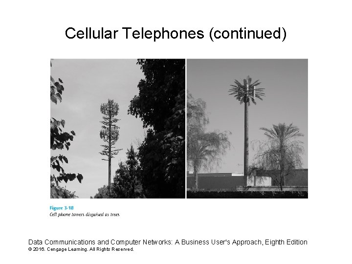 Cellular Telephones (continued) Data Communications and Computer Networks: A Business User's Approach, Eighth Edition