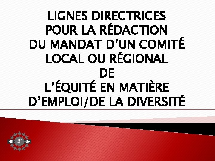 LIGNES DIRECTRICES POUR LA RÉDACTION DU MANDAT D’UN COMITÉ LOCAL OU RÉGIONAL DE L’ÉQUITÉ