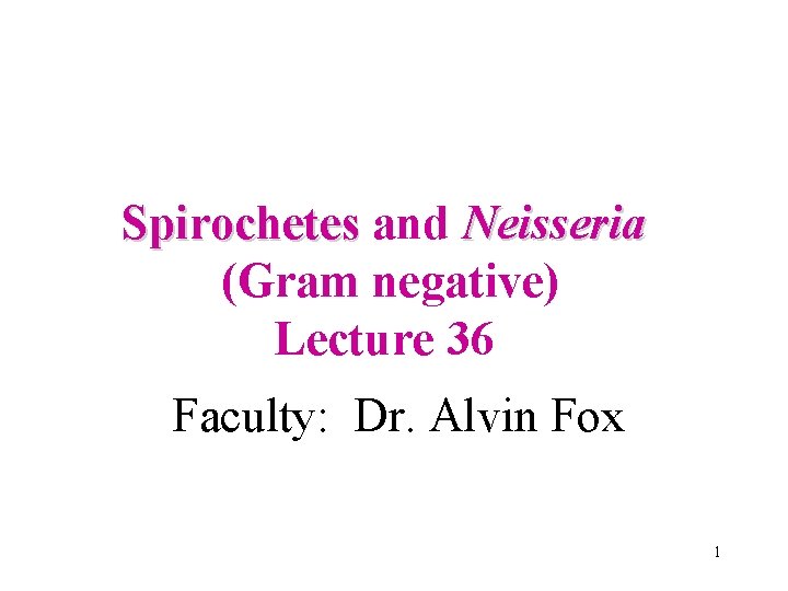 Spirochetes and Neisseria (Gram negative) Lecture 36 Faculty: Dr. Alvin Fox 1 