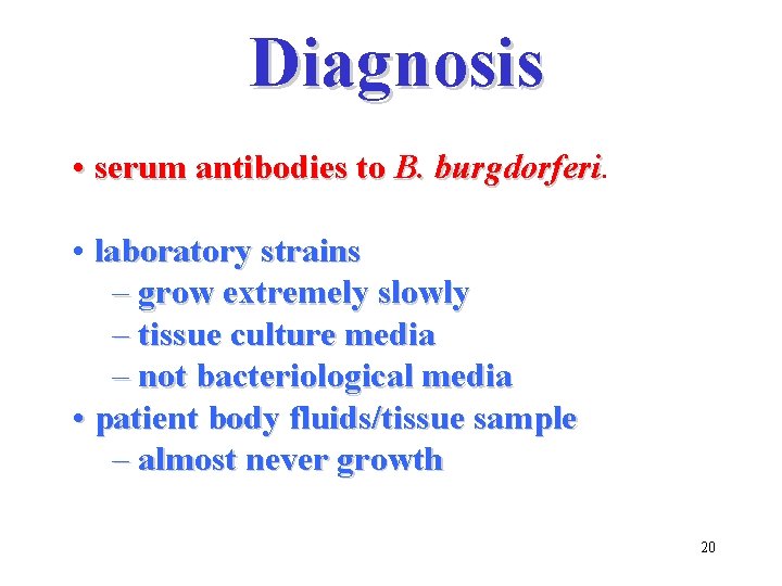 Diagnosis • serum antibodies to B. burgdorferi • laboratory strains – grow extremely slowly