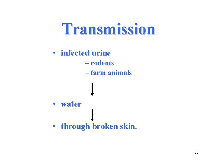 Transmission • infected urine – rodents – farm animals • water • through broken