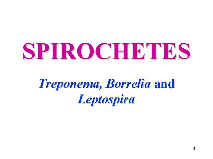 SPIROCHETES Treponema, Borrelia and Leptospira 3 