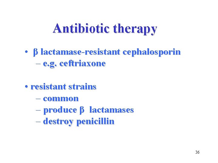 Antibiotic therapy • β lactamase-resistant cephalosporin – e. g. ceftriaxone • resistant strains –