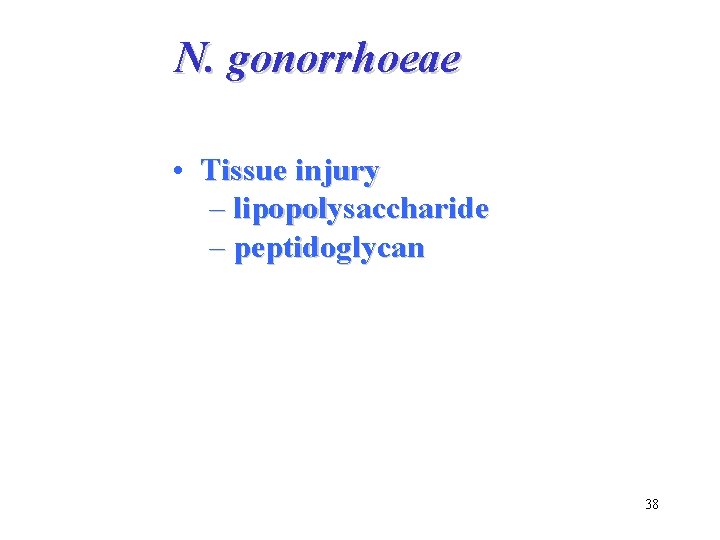 N. gonorrhoeae • Tissue injury – lipopolysaccharide – peptidoglycan 38 
