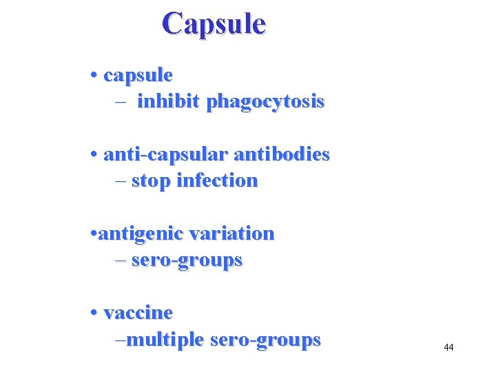 Capsule • capsule – inhibit phagocytosis • anti-capsular antibodies – stop infection • antigenic