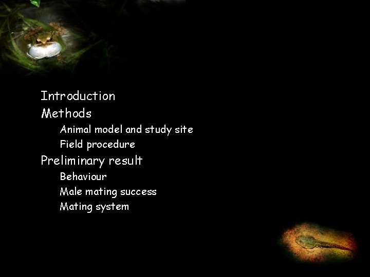 Introduction Methods Animal model and study site Field procedure Preliminary result Behaviour Male mating