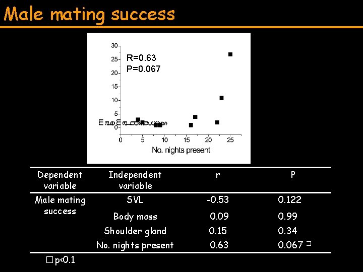Male mating success R=0. 63 P=0. 067 Dependent variable Independent variable r Male mating