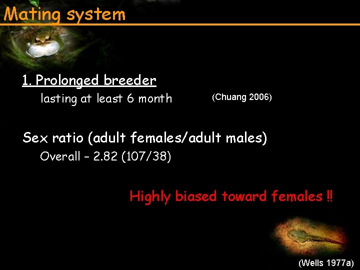 Mating system 1. Prolonged breeder lasting at least 6 month (Chuang 2006) Sex ratio