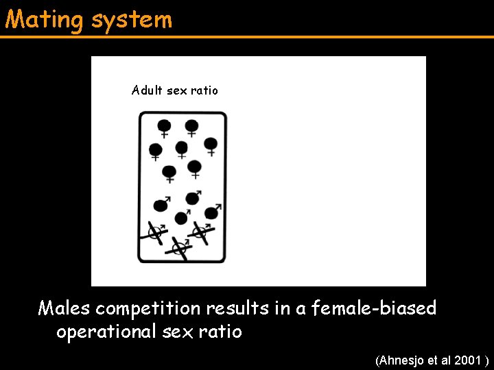 Mating system Adult sex ratio Males and females qualified to mate Males competition results