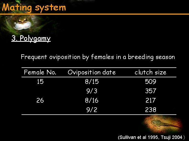 Mating system 3. Polygamy Frequent oviposition by females in a breeding season Female No.