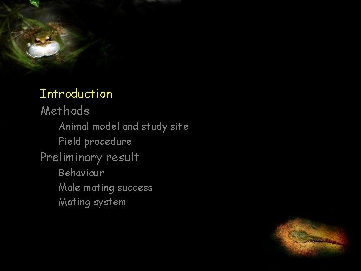 Introduction Methods Animal model and study site Field procedure Preliminary result Behaviour Male mating
