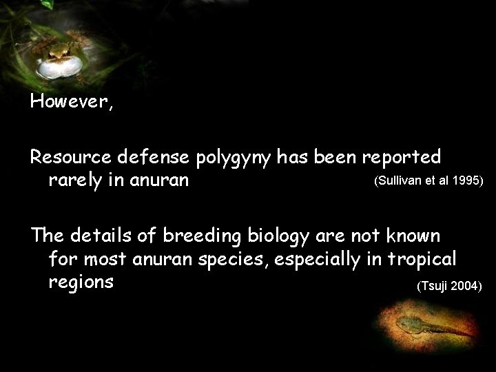 However, Resource defense polygyny has been reported (Sullivan et al 1995) rarely in anuran