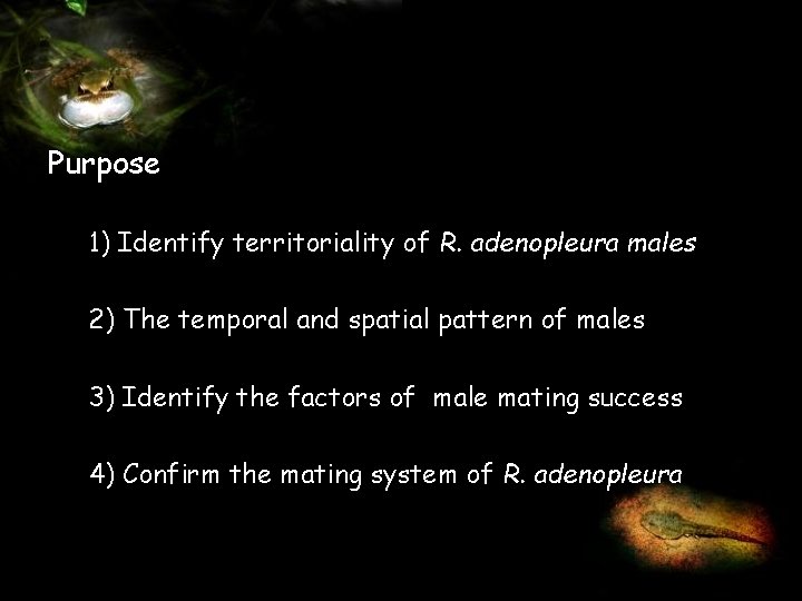 Purpose 1) Identify territoriality of R. adenopleura males 2) The temporal and spatial pattern