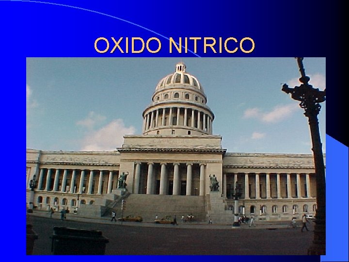 OXIDO NITRICO OXIDO NITRICO