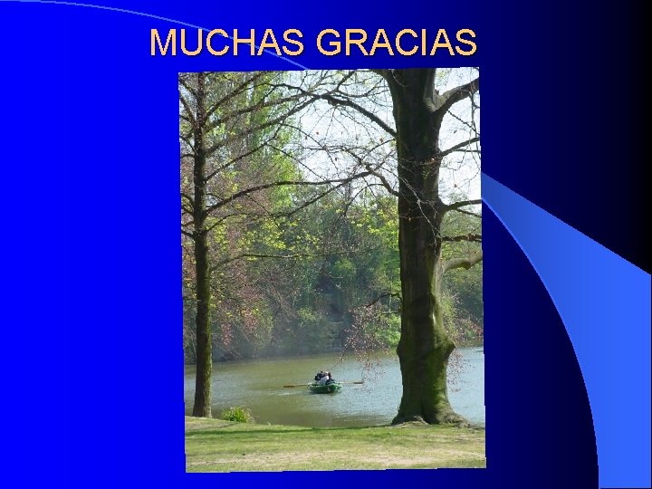 MUCHAS GRACIAS MUCHAS GRACIAS