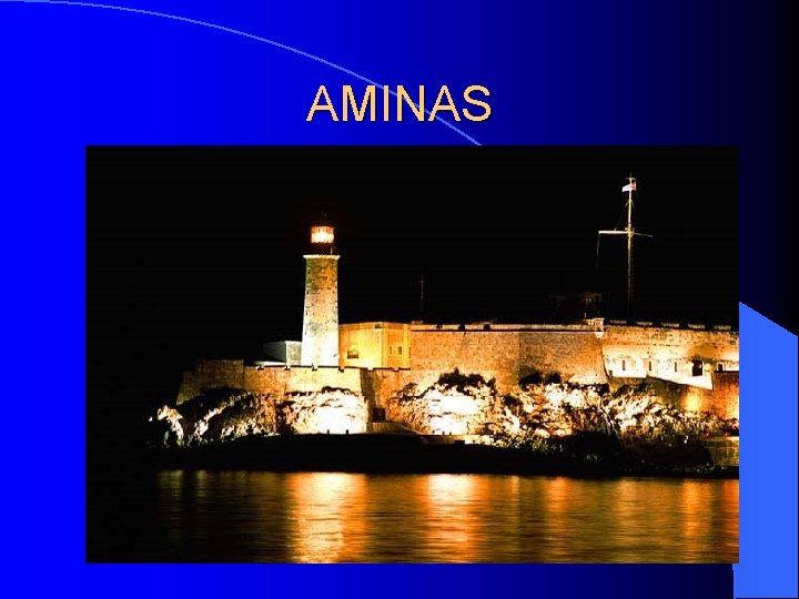 AMINAS AMINAS