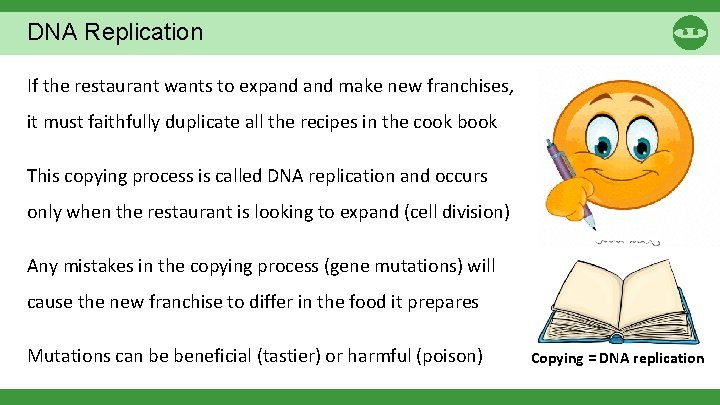 DNA Replication If the restaurant wants to expand make new franchises, it must faithfully