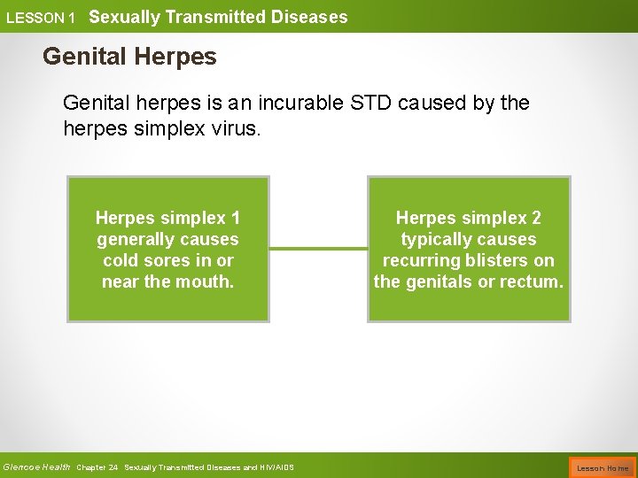 LESSON 1 Sexually Transmitted Diseases Genital Herpes Genital herpes is an incurable STD caused