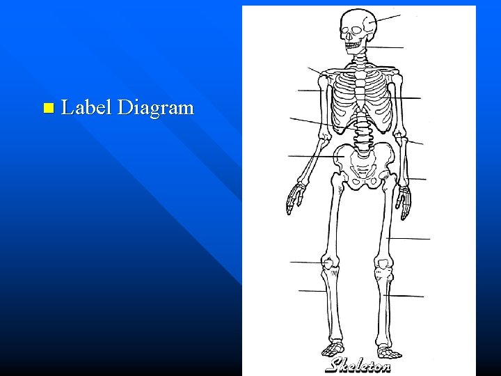 n Label Diagram 