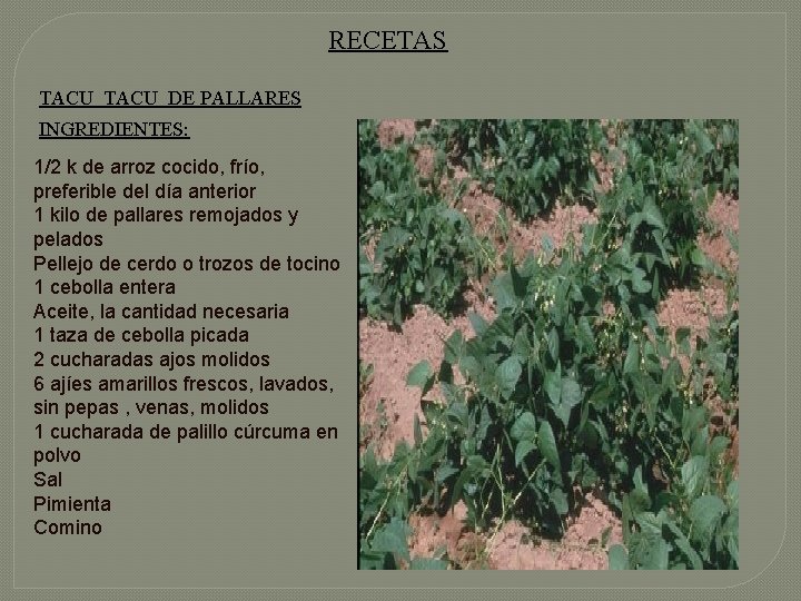 RECETAS TACU DE PALLARES INGREDIENTES: 1/2 k de arroz cocido, frío, preferible del día