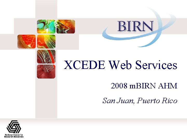 XCEDE Web Services 2008 m. BIRN AHM San Juan, Puerto Rico 