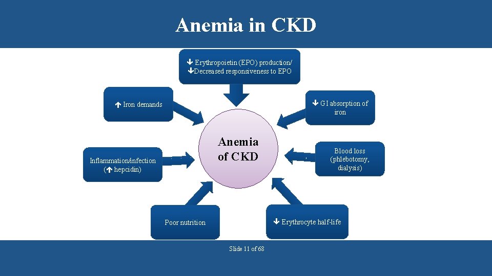 Anemia in CKD Erythropoietin (EPO) production/ Decreased responsiveness to EPO GI absorption of iron