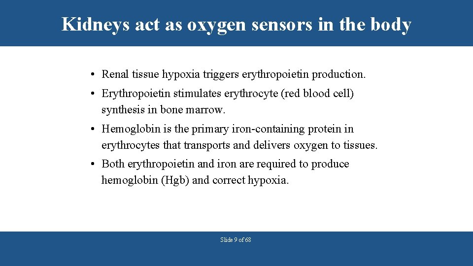 Kidneys act as oxygen sensors in the body • Renal tissue hypoxia triggers erythropoietin