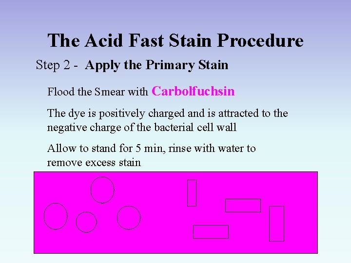 The Acid Fast Stain Procedure Step 2 - Apply the Primary Stain Flood the