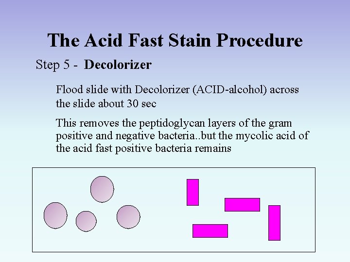 The Acid Fast Stain Procedure Step 5 - Decolorizer Flood slide with Decolorizer (ACID-alcohol)