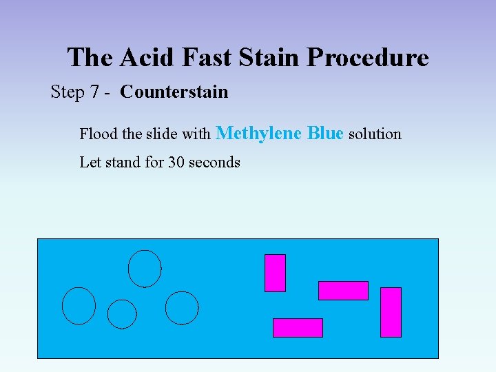 The Acid Fast Stain Procedure Step 7 - Counterstain Flood the slide with Methylene