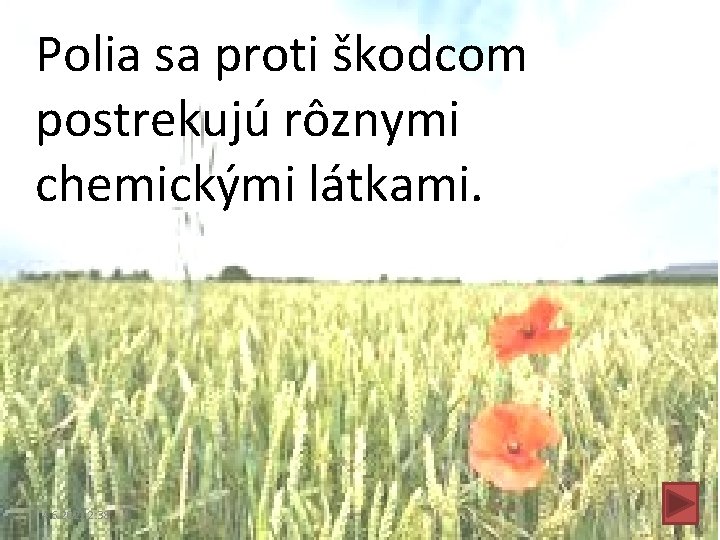 Polia sa proti škodcom postrekujú rôznymi chemickými látkami. 4. 6. 2021 2: 38 