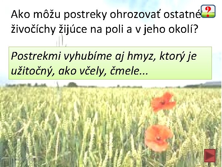 Ako môžu postreky ohrozovať ostatné ? živočíchy žijúce na poli a v jeho okolí?