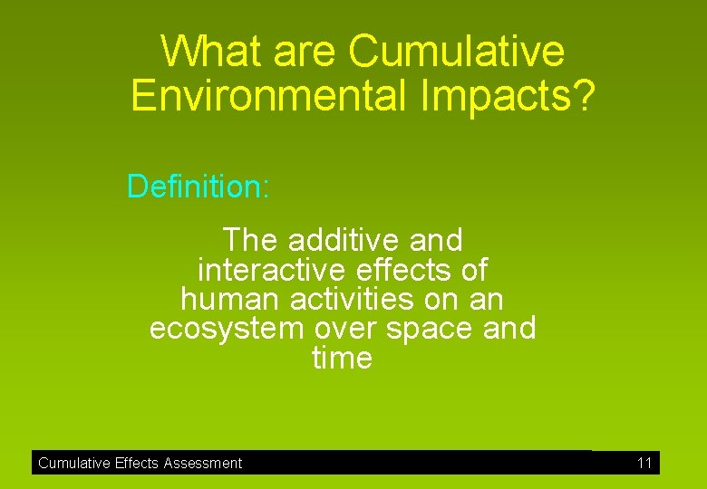 What are Cumulative Environmental Impacts? Definition: The additive and interactive effects of human activities