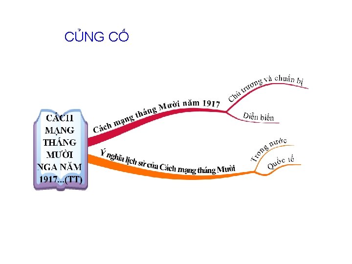 CỦNG CỐ 