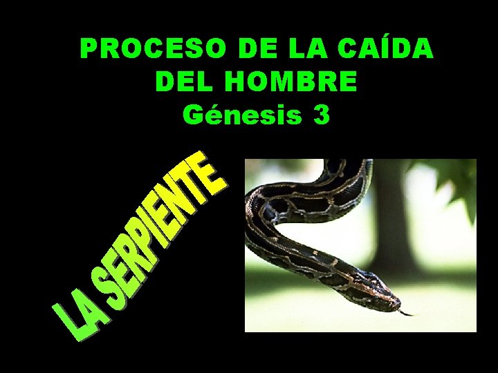 PROCESO DE LA CAÍDA DEL HOMBRE Génesis 3 