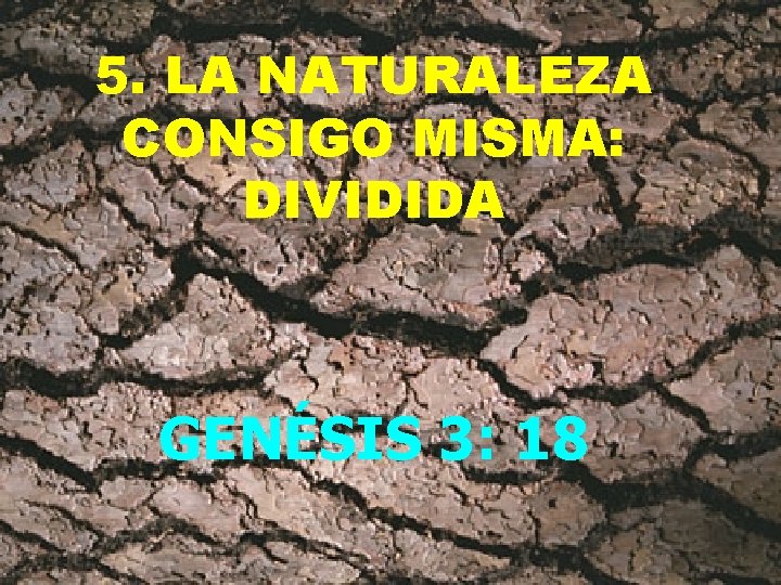 5. LA NATURALEZA CONSIGO MISMA: DIVIDIDA GENÉSIS 3: 18 