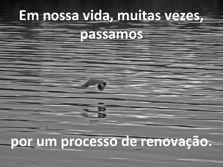 Em nossa vida, muitas vezes, passamos por um processo de renovação. 