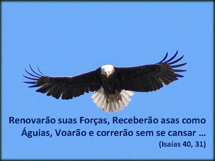 Renovarão suas Forças, Receberão asas como Águias, Voarão e correrão sem se cansar …