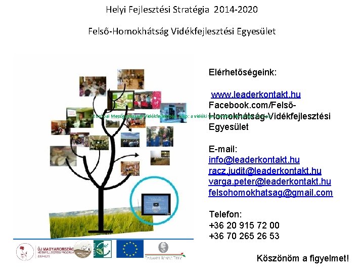 Helyi Fejlesztési Stratégia 2014 -2020 Felső-Homokhátság Vidékfejlesztési Egyesület Elérhetőségeink: www. leaderkontakt. hu Facebook. com/FelsőEurópai