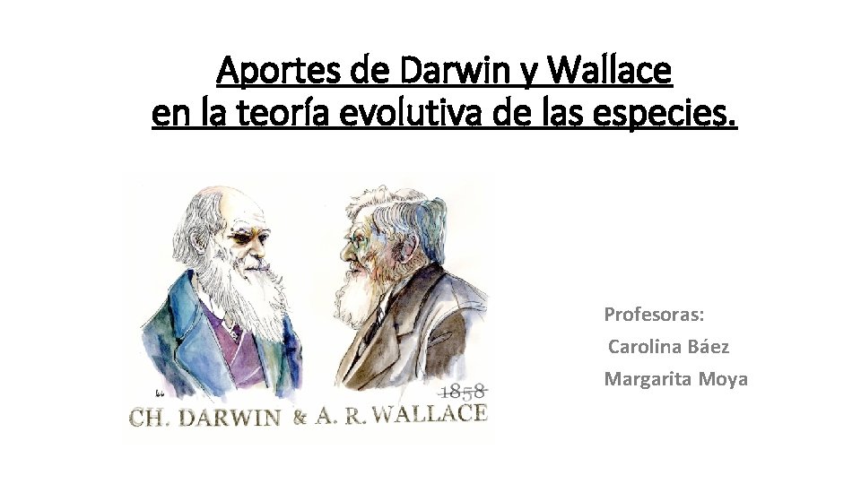 Aportes de Darwin y Wallace en la teoría evolutiva de las especies. Profesoras: Carolina Aportes de Darwin y Wallace en la teoría evolutiva de las especies. Profesoras: Carolina