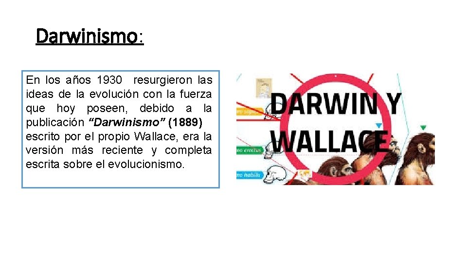 Darwinismo: En los años 1930 resurgieron las ideas de la evolución con la fuerza Darwinismo: En los años 1930 resurgieron las ideas de la evolución con la fuerza
