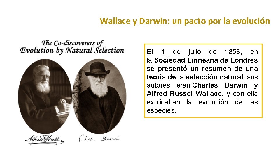 Wallace y Darwin: un pacto por la evolución El 1 de julio de 1858, Wallace y Darwin: un pacto por la evolución El 1 de julio de 1858,