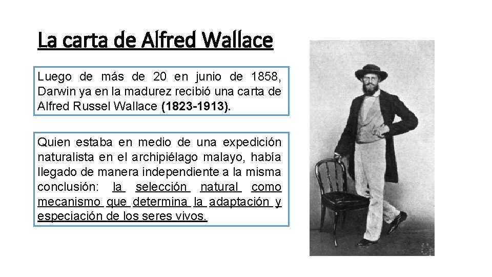 La carta de Alfred Wallace Luego de más de 20 en junio de 1858, La carta de Alfred Wallace Luego de más de 20 en junio de 1858,