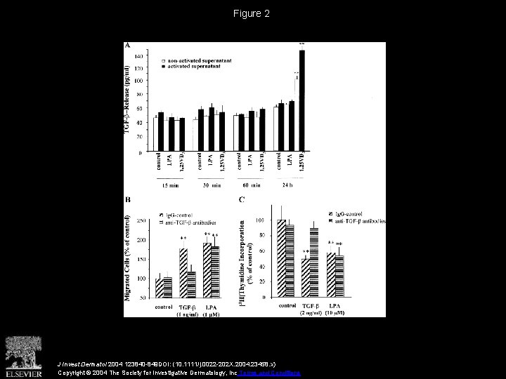 Figure 2 J Invest Dermatol 2004 123840 -849 DOI: (10. 1111/j. 0022 -202 X.