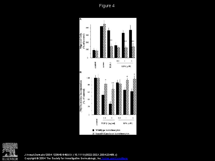 Figure 4 J Invest Dermatol 2004 123840 -849 DOI: (10. 1111/j. 0022 -202 X.