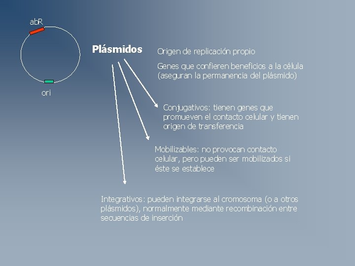 ab. R Plásmidos Origen de replicación propio Genes que confieren beneficios a la célula ab. R Plásmidos Origen de replicación propio Genes que confieren beneficios a la célula