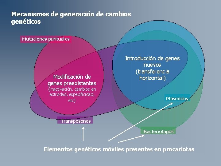Mecanismos de generación de cambios genéticos Mutaciones puntuales Modificación de genes preexistentes (inactivación, cambios Mecanismos de generación de cambios genéticos Mutaciones puntuales Modificación de genes preexistentes (inactivación, cambios